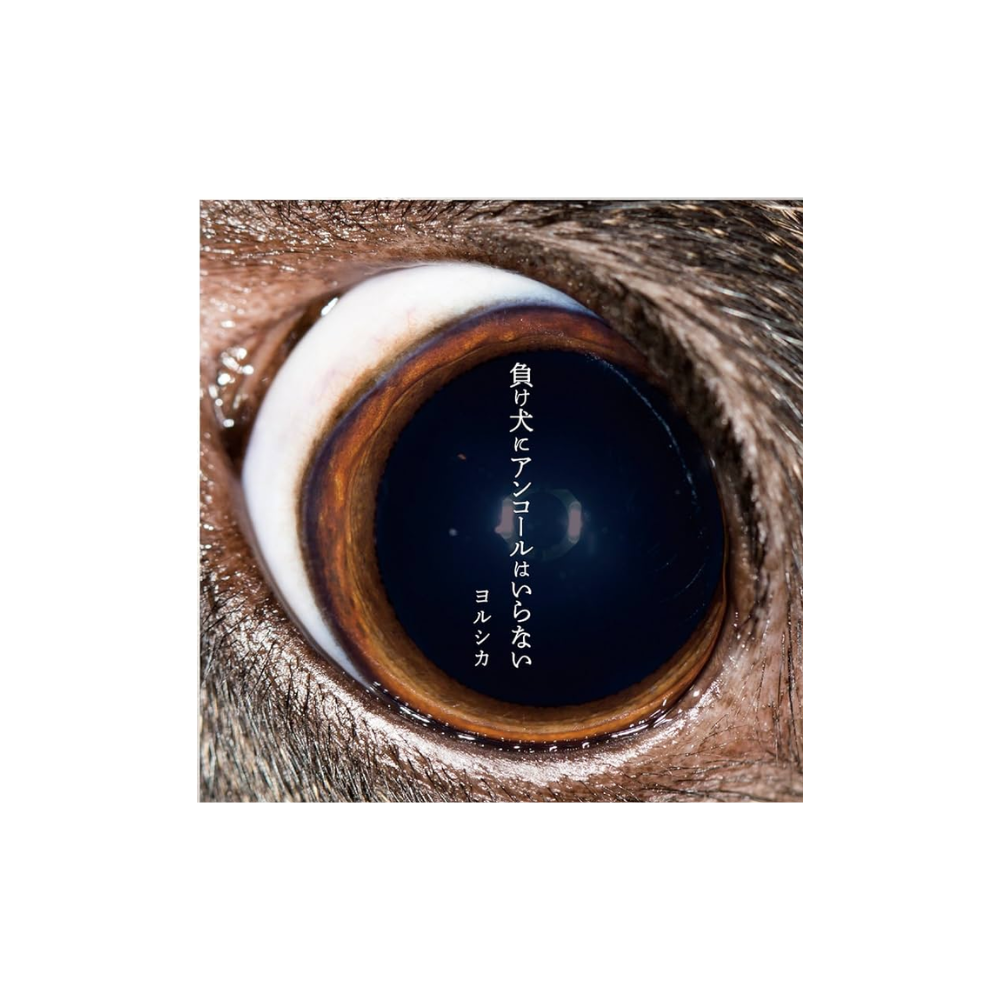 [미개봉] [CD] 요루시카 - 패배자에게 앵콜은 없어