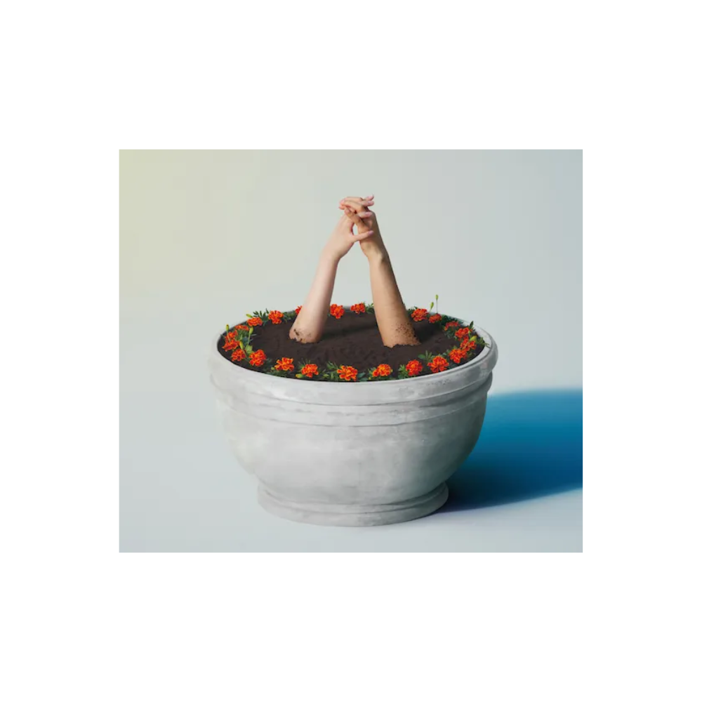 [미개봉] 아이묭 - 마리골드 CD