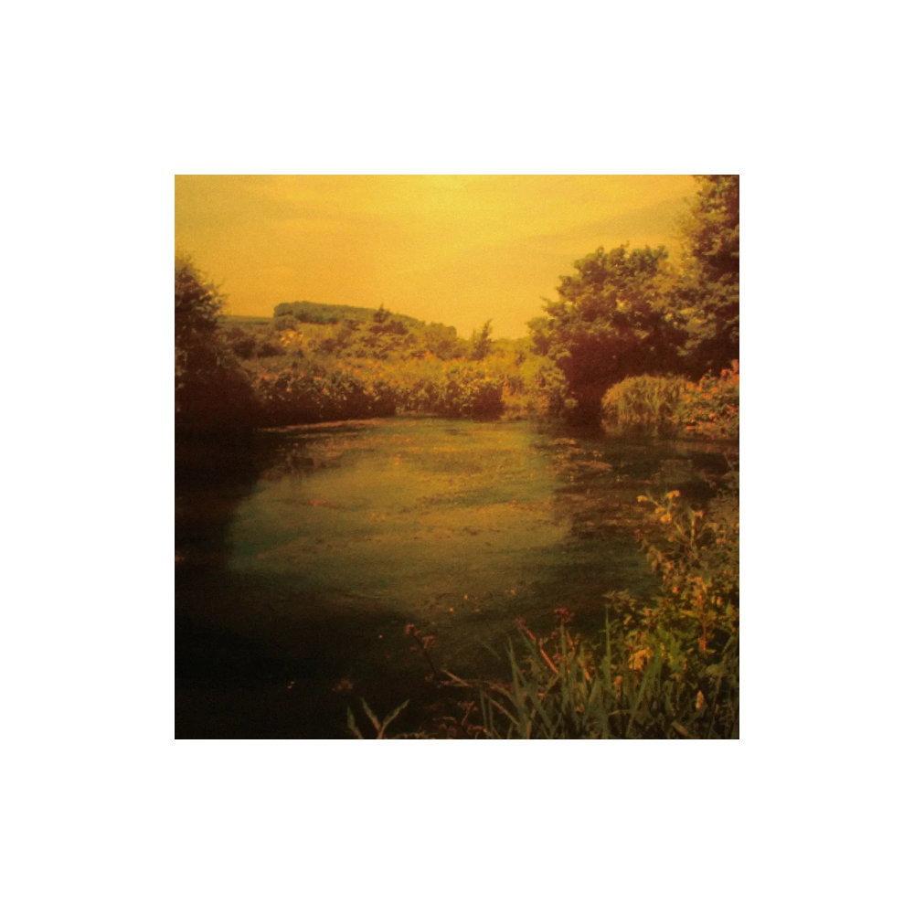 [미개봉] [CD] 벳커버 - 알