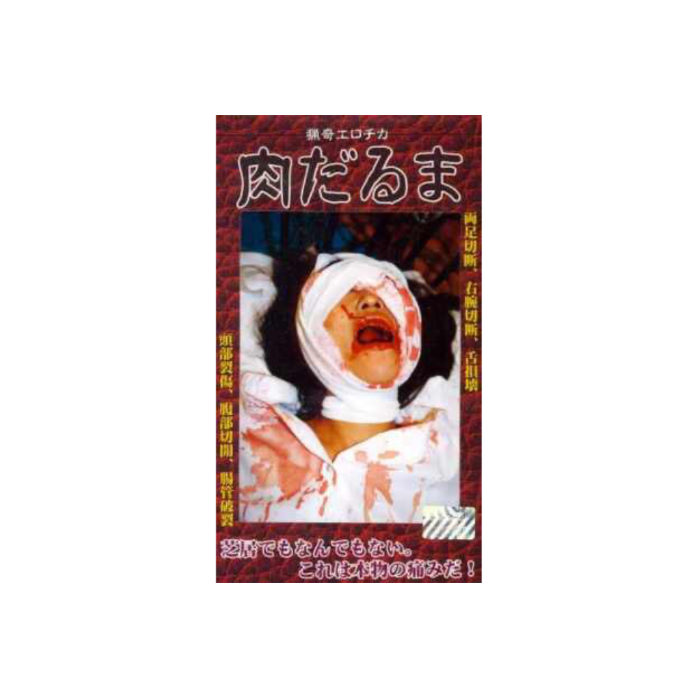 [내수용] [DVD] 고기오뚝이